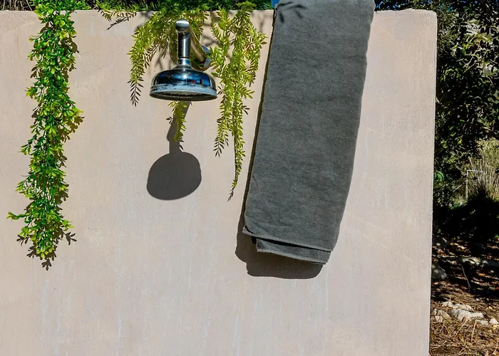 Segui By Homevillas360 *