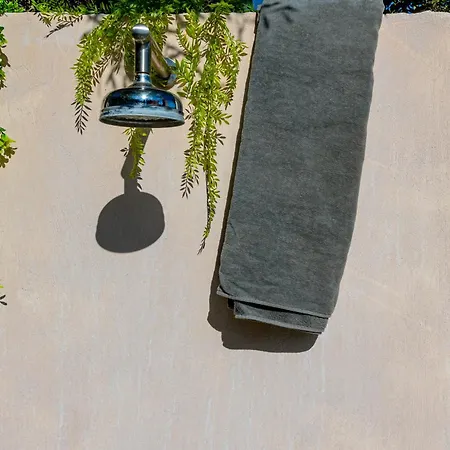 Segui By Homevillas360 *